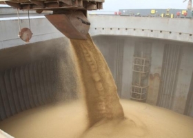 Pellets de soja: se desconcentró la matriz exportadora argentina