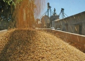 Fue posible exportar harina de soja sin pagar retenciones del 27%