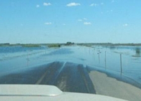 Emergencia Agropecuaria: Prorrogan en Córdoba la fecha para la presentación de daños