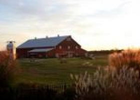 Estados Unidos: cae el ingreso de los farmers