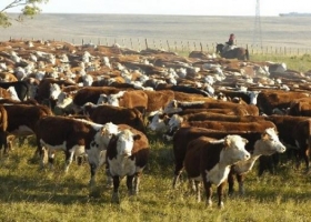 Apoyo del IPCVA al “Control Parasitario Sustentable"