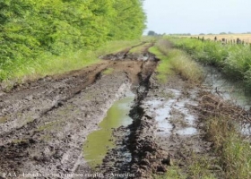 Caminos rurales rebalsados de agua: ¿se complica la cosecha?