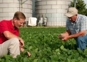 La Red de Buenas Prácticas Agrícolas lanzó nuevos documentos técnicos