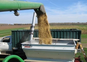 Soja: productores transferirán US$ 5000 millones por retenciones