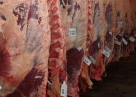 Uruguay: caso de carne con Etión podría paralizar exportación a EEUU