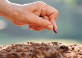 Se habla de un "cambio dramático" en el agro