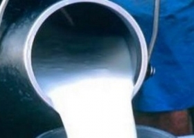 “Sammartino estimó que en 60 días el litro de leche llegará a $4”