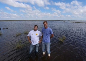 Tambos bajo el agua
