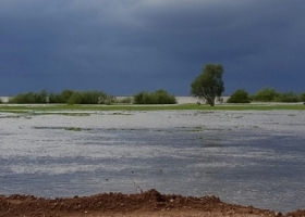 El clima no da tregua