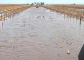 Santa Fe declaró la emergencia por lluvias en casi todos sus departamentos