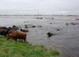 "Hay miles de productores sufriendo las consecuencias del agua"