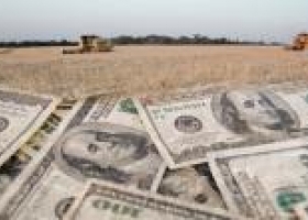 Regresa el crédito en dólares para el agro a una tasa del 6,5%