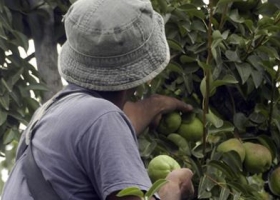 Buscan crear un Régimen de Promoción a las Economías Regionales