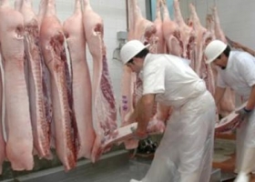 Pequeños productores porcinos advierten por la baja rentabilidad del sector