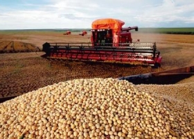 Cosecha de soja se valorizó US$ 900 millones en un solo día
