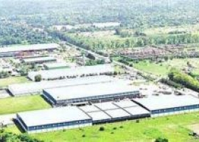Bayer quiere comprar Monsanto