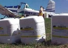 Según la FAO y la OMS, el Glifosato no produciría cáncer