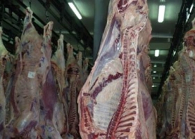 La Pampa pidió el ingreso de asado al sur del país y la eliminación de la barrera sanitaria