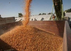 Etchevehere prevé que el campo liquidará US$ 30 mil millones a inicios de 2017