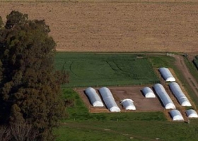 Crean una escuela de negocios para pymes agroalimentarias