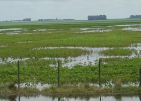 Extendieron el estado de Emergencia y Desastre Agropecuario en Entre Ríos
