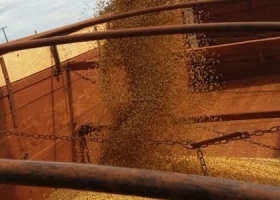 Finalizó la cosecha de soja en la principal región productora