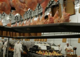 Las exportaciones de carne aviar cayeron un 25% en lo que va del año