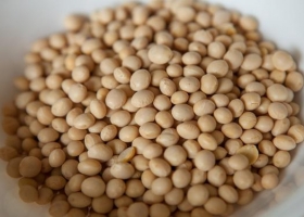 Qué dice la resolución que el Gobierno publicará para ponerle punto final a la disputa con Monsanto
