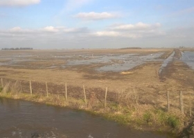 Los campos del sur de Córdoba otra vez golpeados por los anegamientos