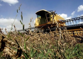 Mejora el ingreso de los productores en la campaña 2015/16