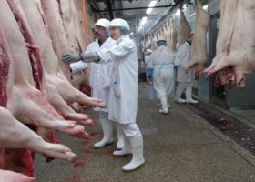 Alertan por el perjuicio de las importaciones de carne porcina y aviar