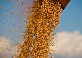 Impacto por el clima y la incertidumbre financiera