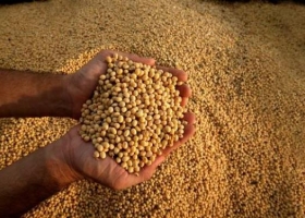 El Inase y la Bolsa de Cereales firmaron un acuerdo para el control de semillas