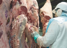 Positivo: carne argentina se posiciona en el mundo