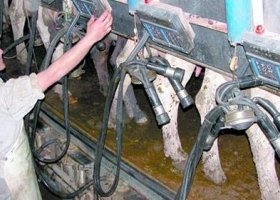En junio el precio promedio de la leche subió a 4,15 $/litro en Santa Fe