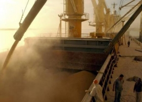 Aumentó la exportación de granos