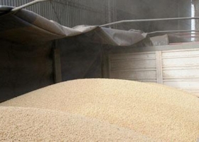 La molienda de oleaginosas bate récords en Córdoba
