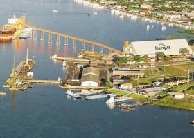 Cargill y Dreyfus paran plantas en Brasil por bajos márgenes