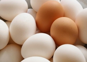 Negocio de los ovoproductos sigue complicado