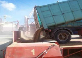 Complejo cerealero incrementa sus exportaciones