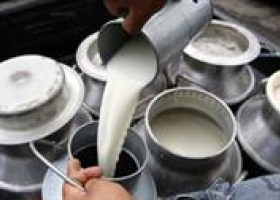 Precio relativo de la leche comienza a salir del pozo