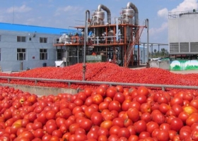 Lanzan un bono social por $ 220 para ahorrar en "tomate futuro"