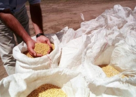 La Comisión de Agricultura recibió el proyecto oficial para reformar la Ley de Semillas