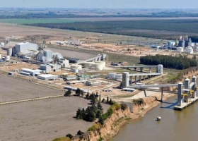 Biodiésel: exportaciones crecerían 80%