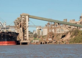 Trigo: 62% del volumen exportado es forrajero