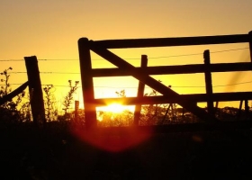 El campo ya concentra el 42% del crédito productivo