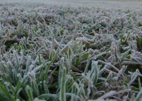 Aseguran que el otoño invierno 2016 está entre los más fríos de los últimos 55 años