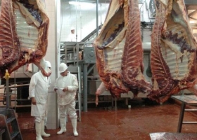 Negociación UE-Mercosur: posición europea sobre la carne