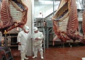 Carnes: reclaman reintegros ante la pérdida de competitividad en las exportaciones