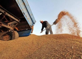 Queja por los subsidios agrícolas de China